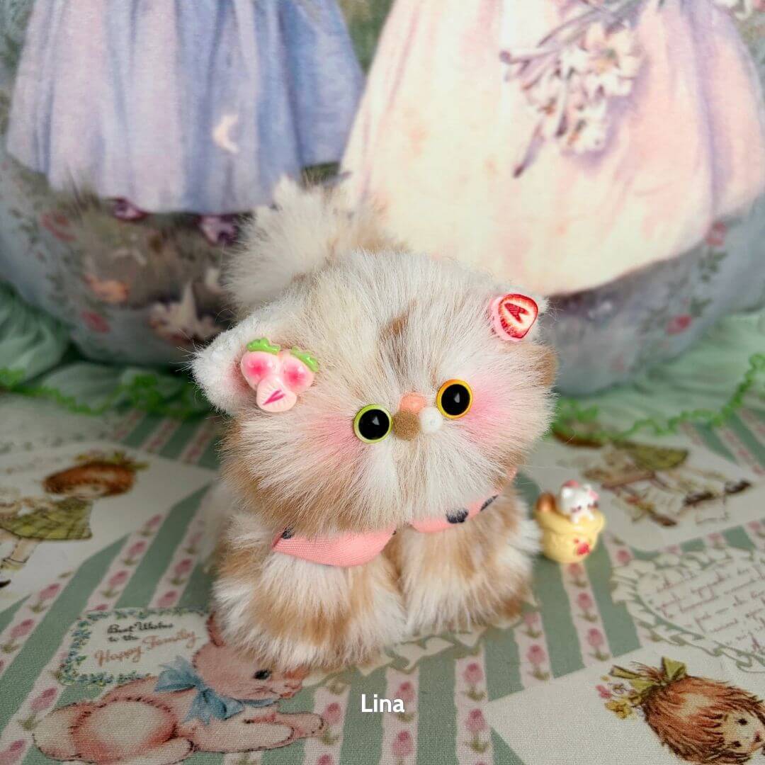 Fluffy Kitten Collection