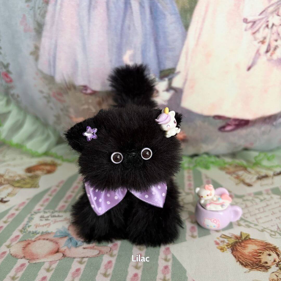 Black Kitten Collection