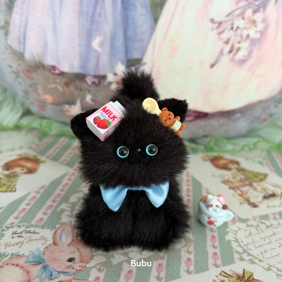 Black Kitten Collection