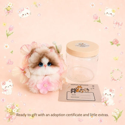 Blossom Kitten Collection
