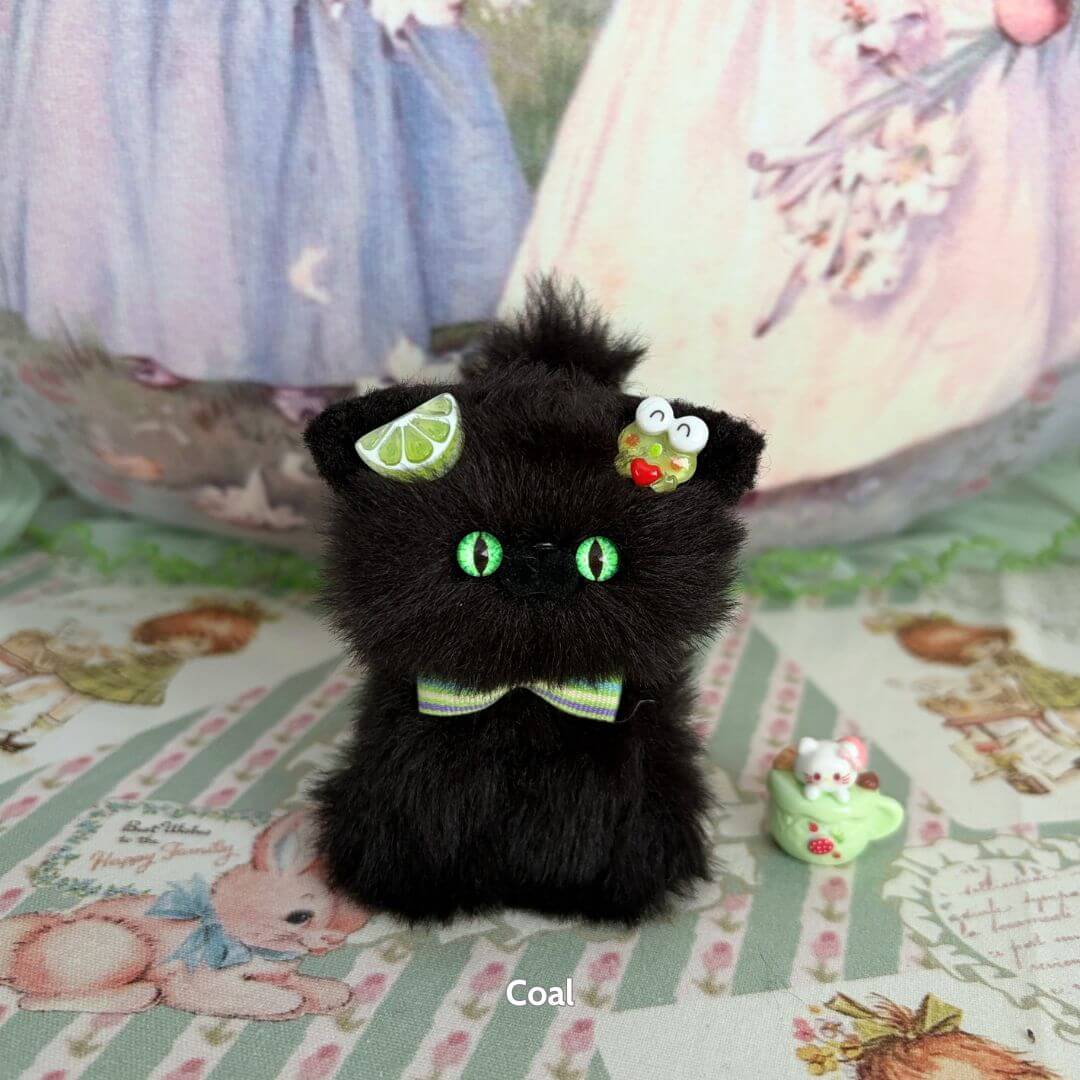 Black Kitten Collection