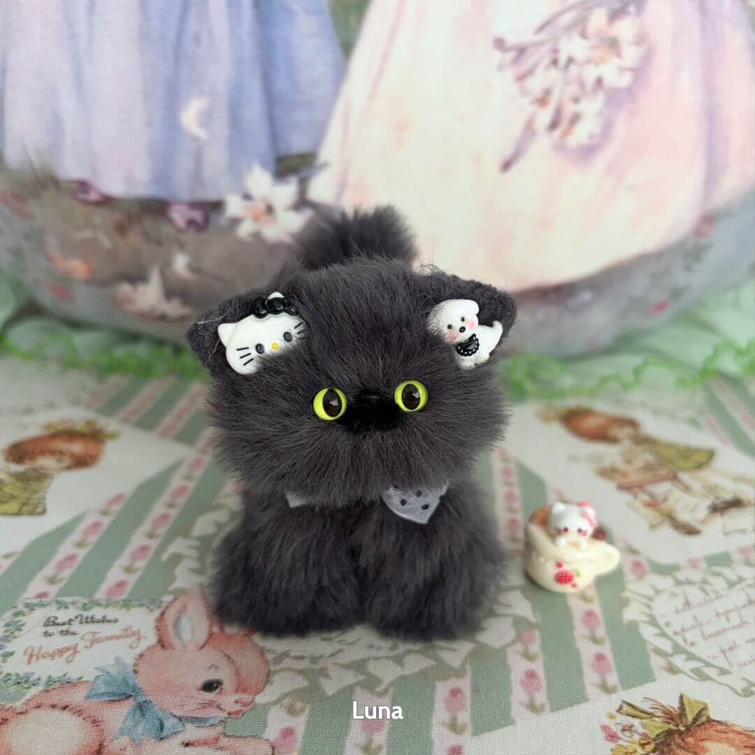 Grey Kitten Collection