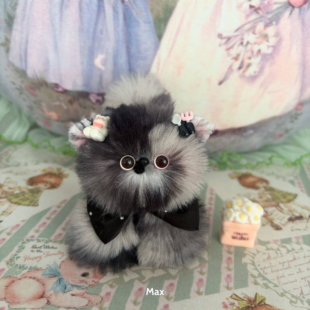 Fluffy Kitten Collection