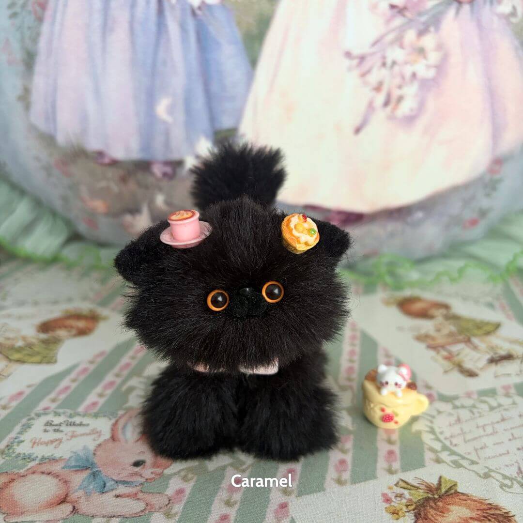 Black Kitten Collection