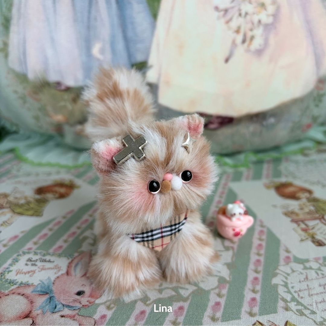 Adorable Kitten Collection