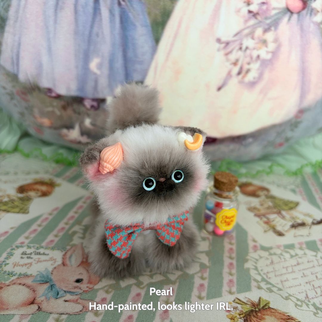 Adorable Kitten Collection