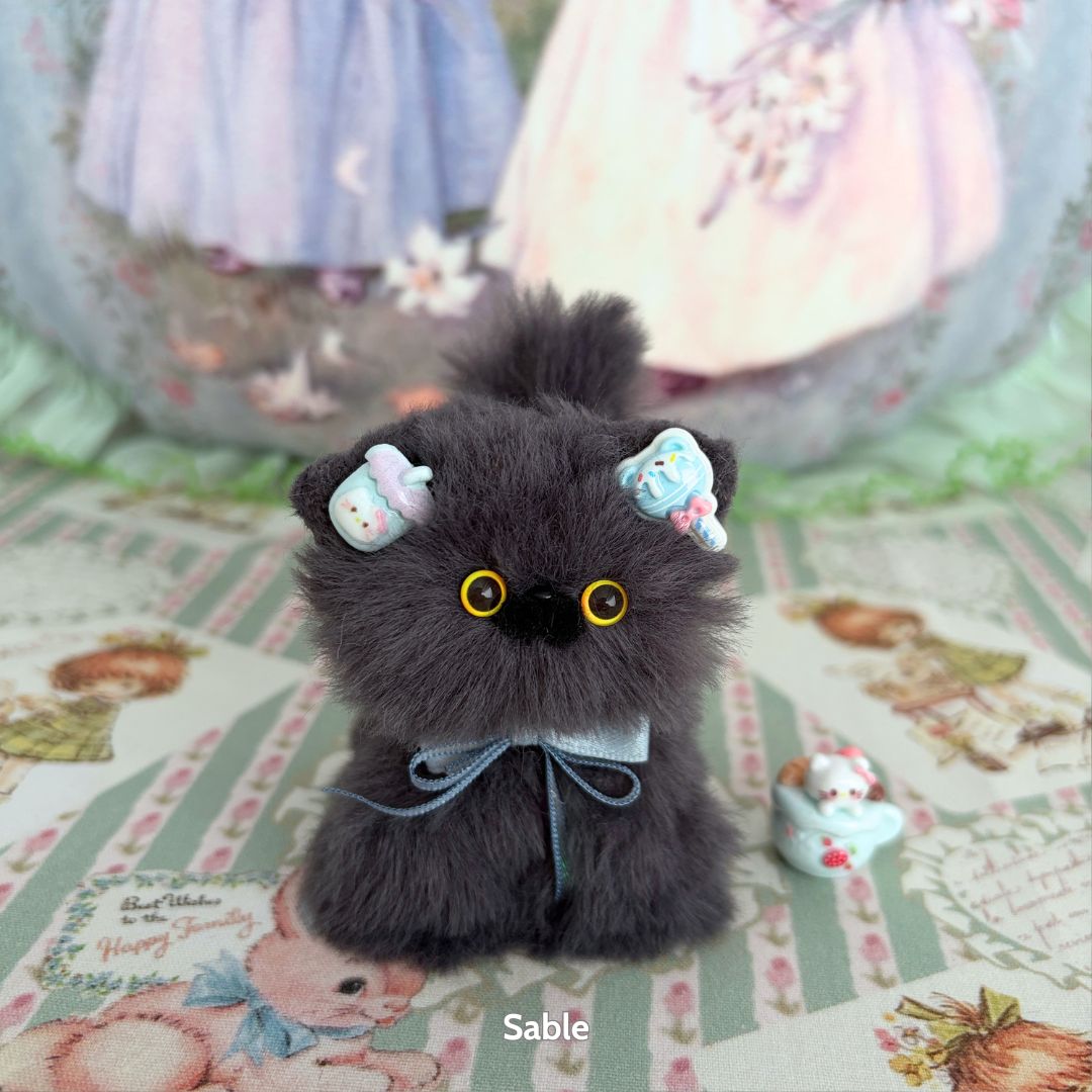 Grey Kitten Collection