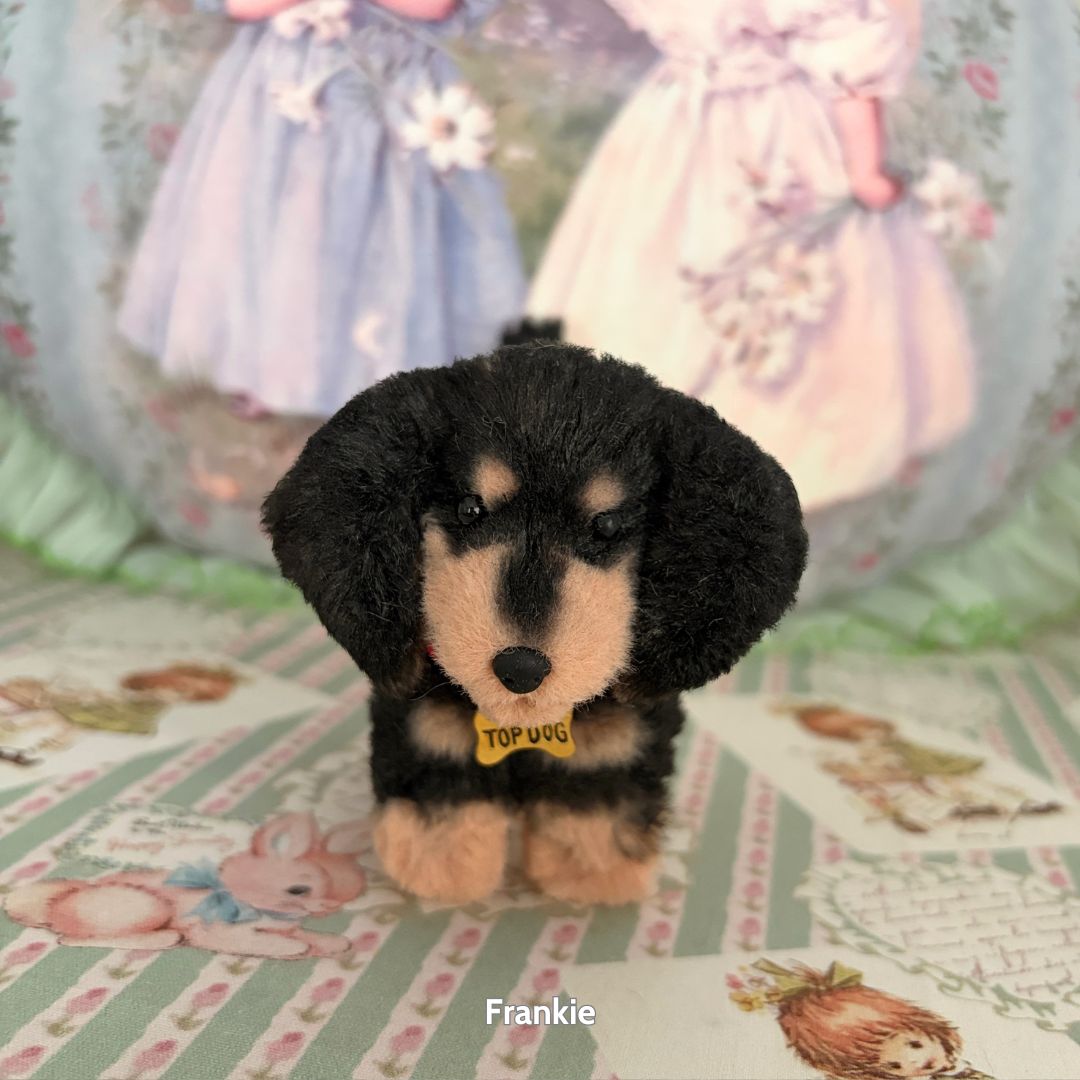 Dachshund Tales Collection