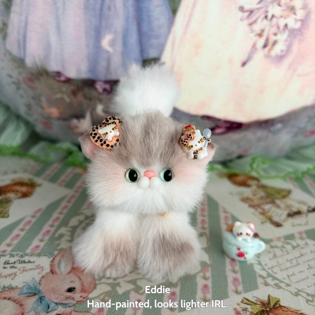 Adorable Kitten Collection