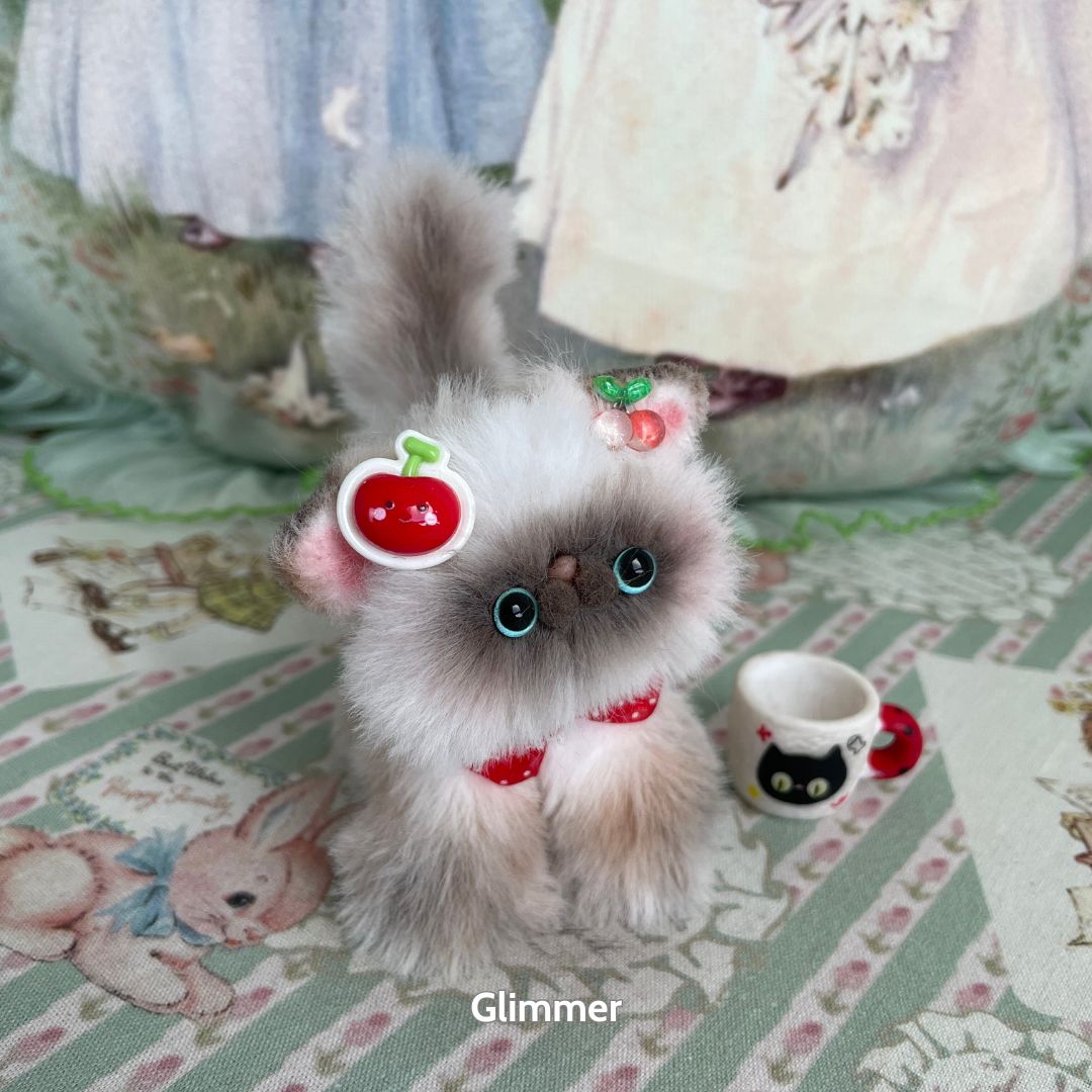 Adorable Kitten Collection