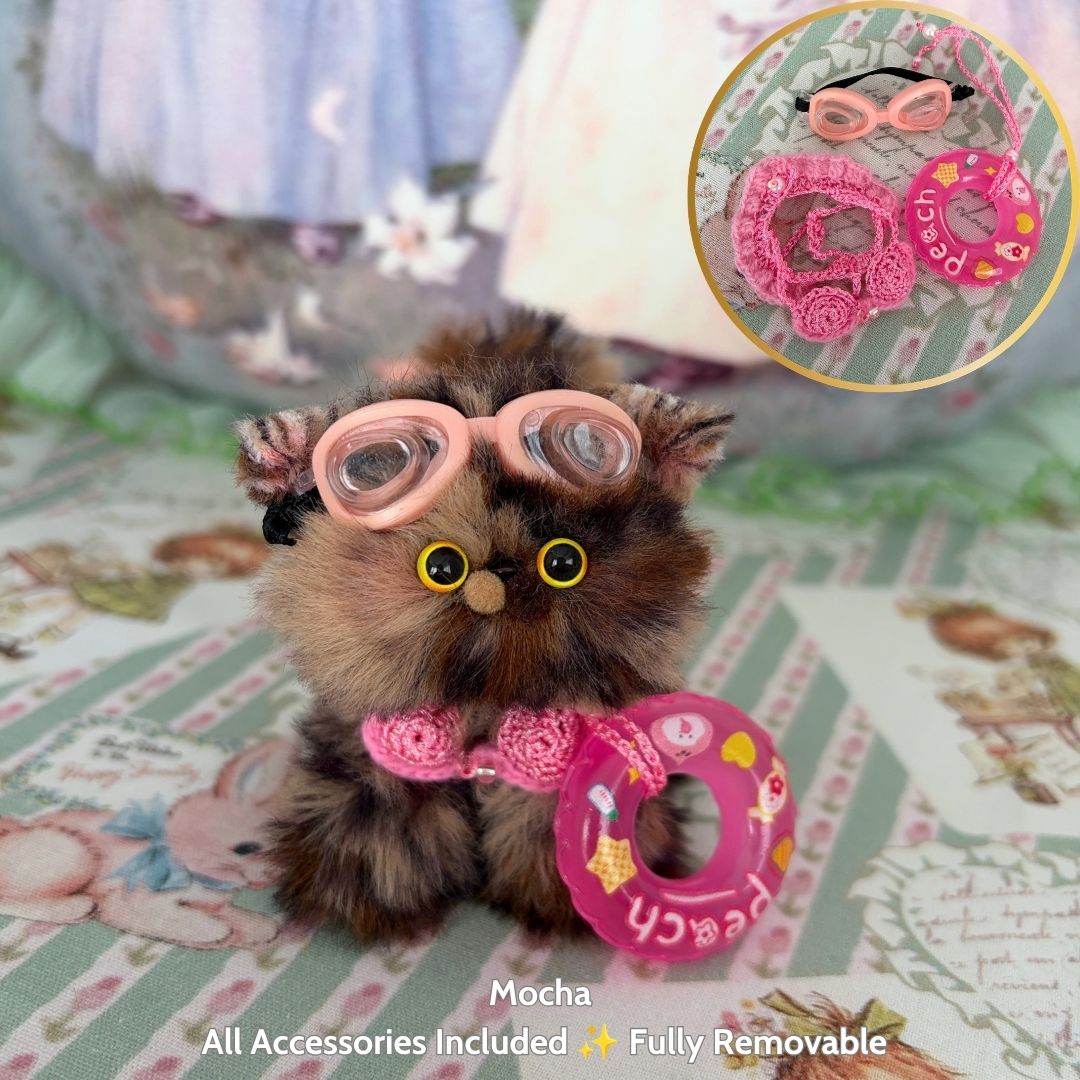 Purrfect Summer Collection
