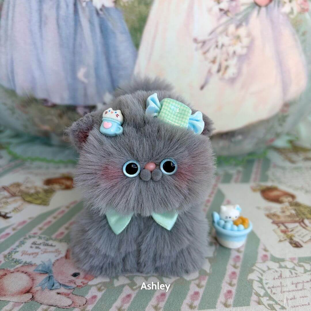 Fluffy Kitten Collection