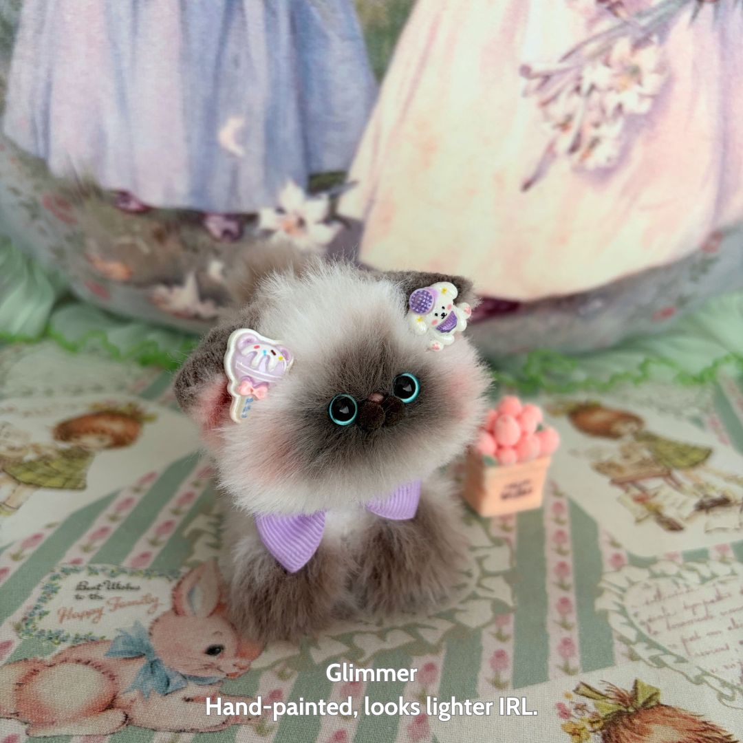 Adorable Kitten Collection