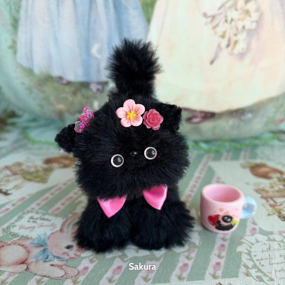 Black Kitten Collection