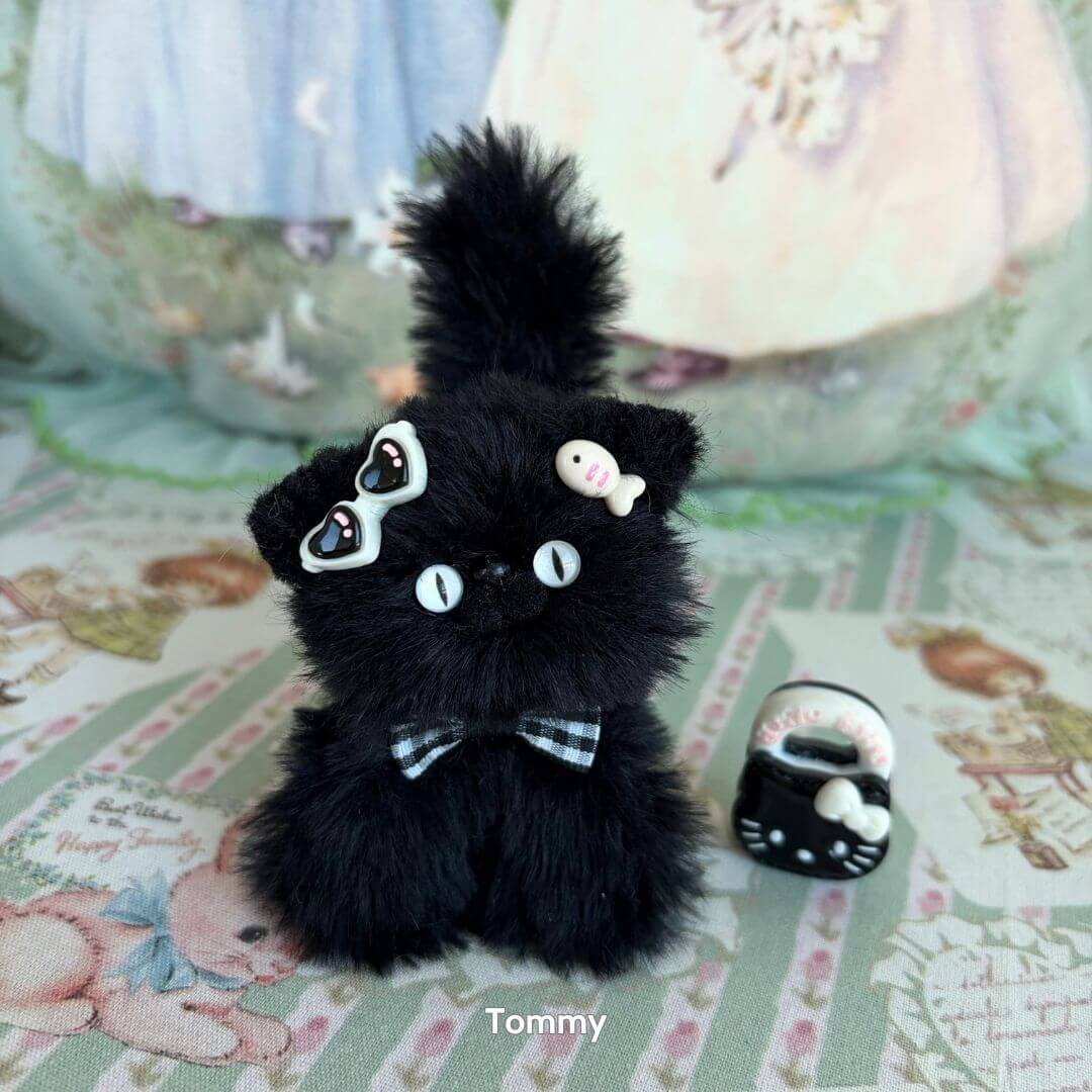 Black Kitten Collection