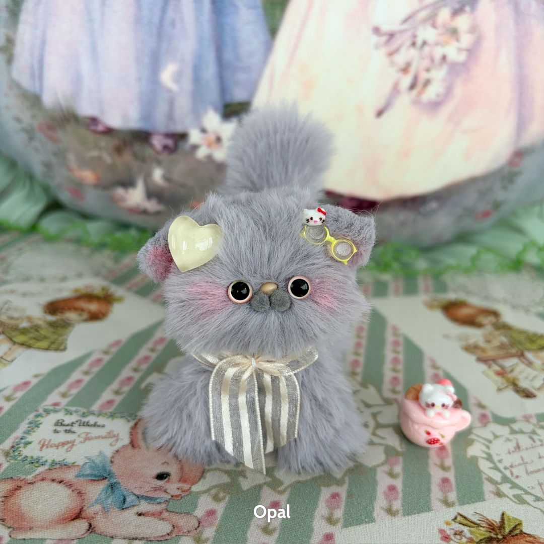 Grey Kitten Collection