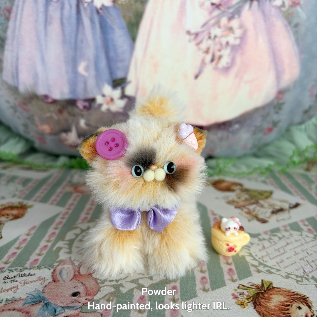 Adorable Kitten Collection