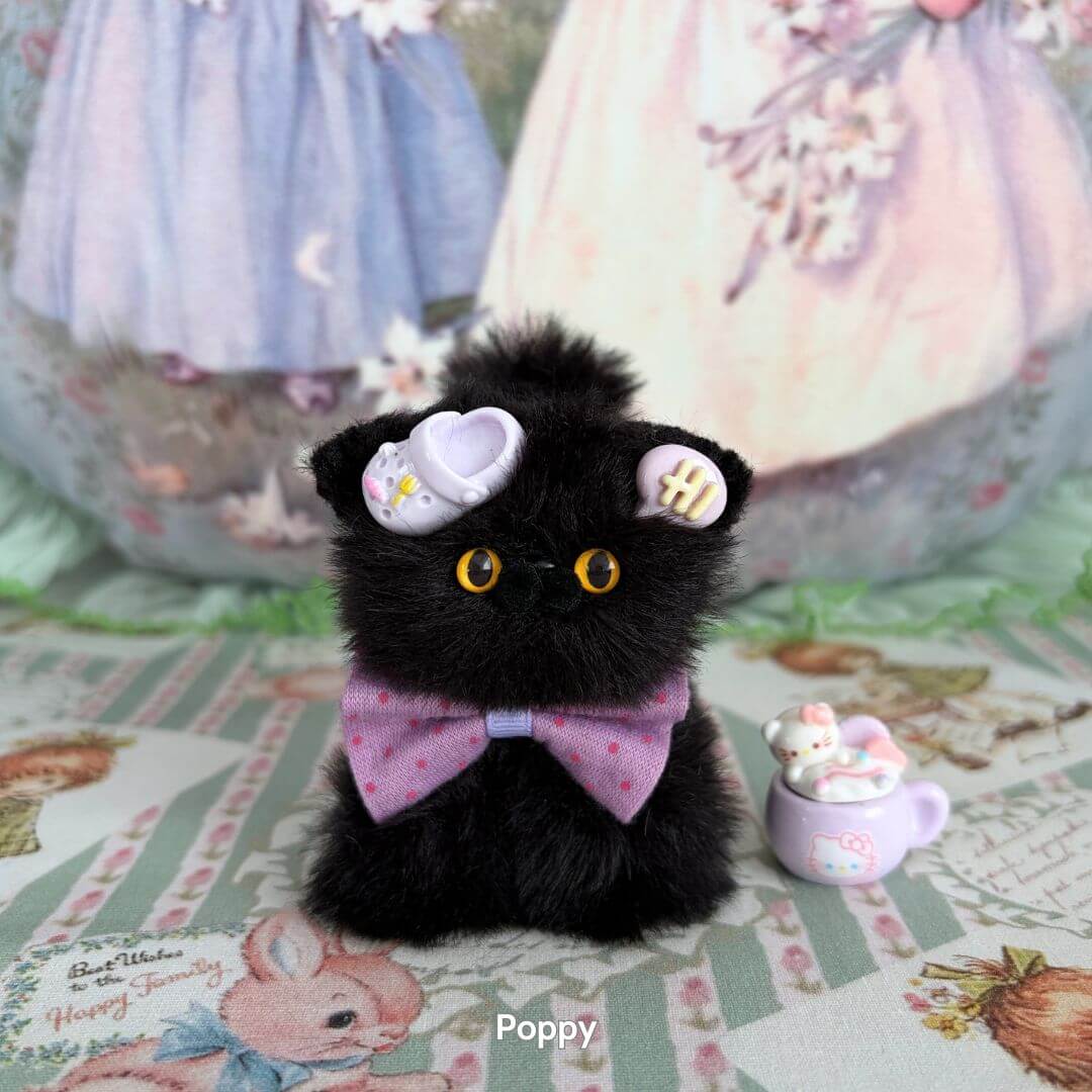 Black Kitten Collection