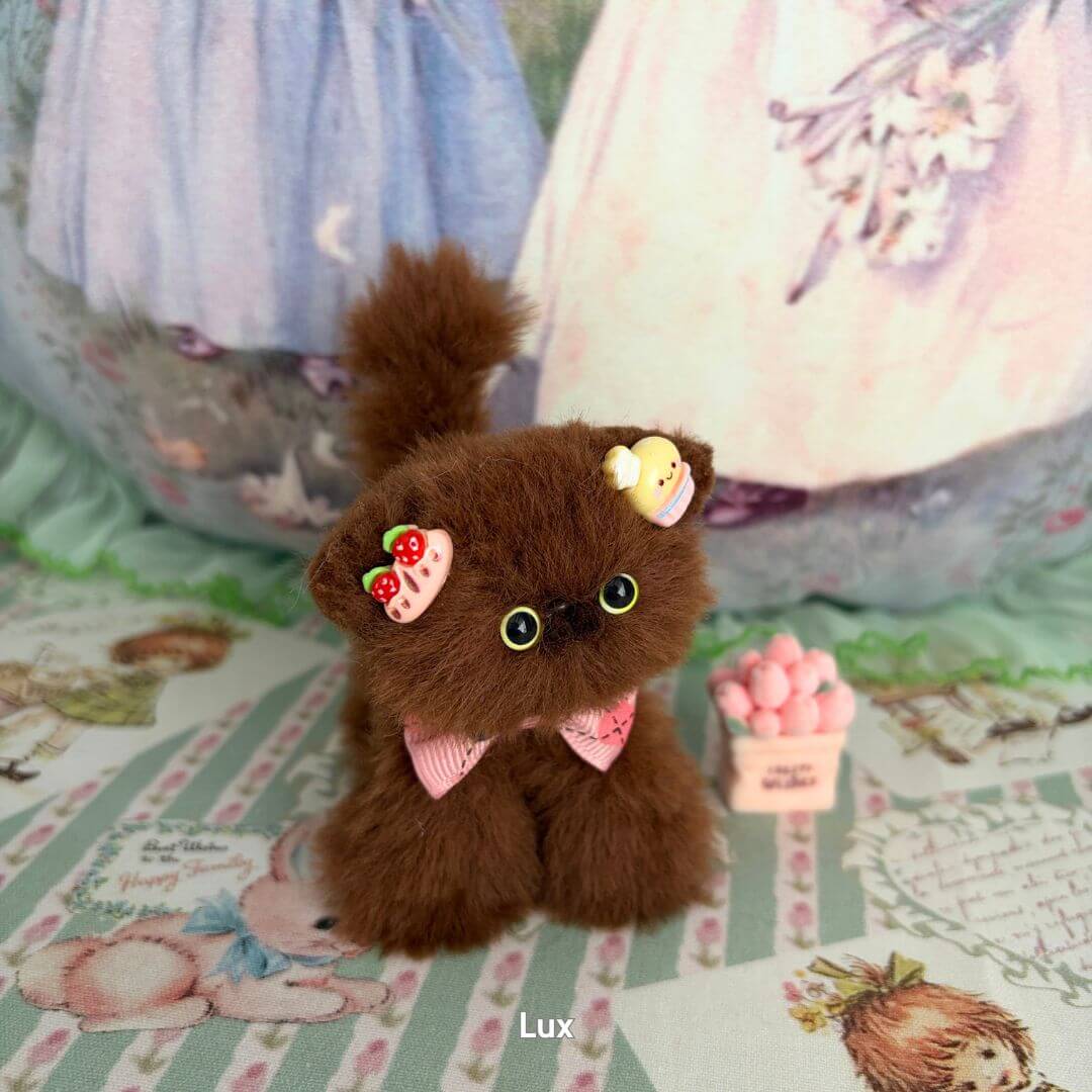 Brown Kitten Collection