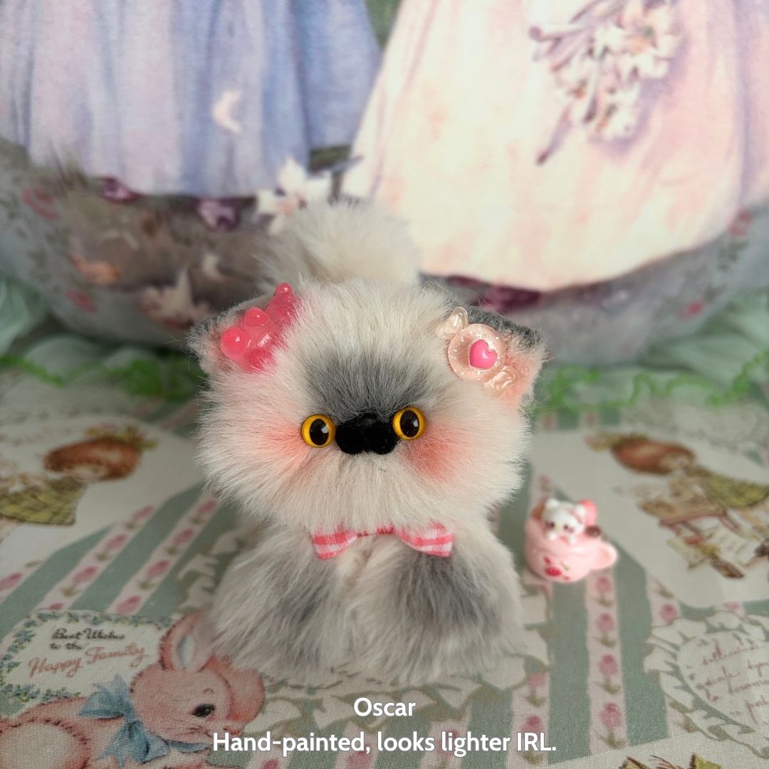 Adorable Kitten Collection