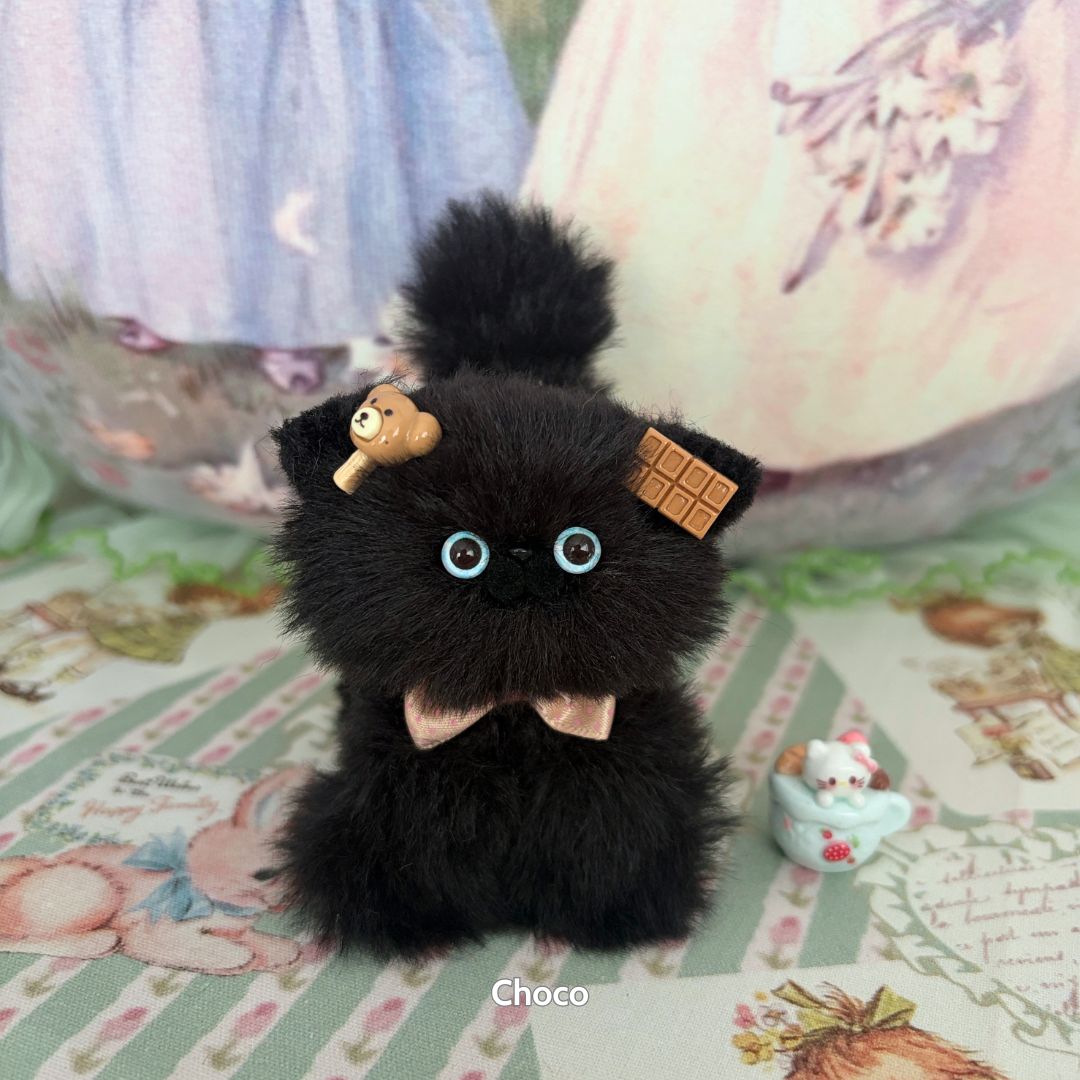Black Kitten Collection