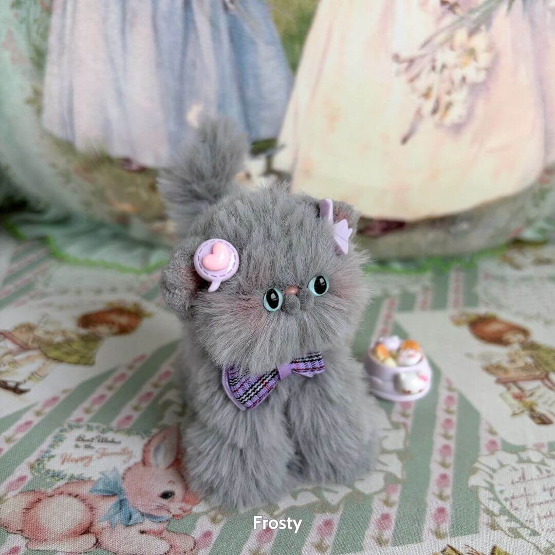 Grey Kitten Collection