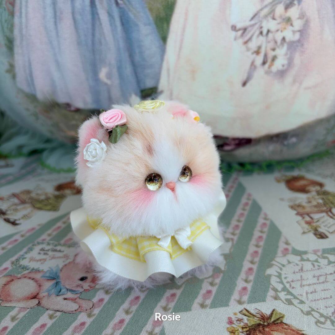 Fairy Paws Collection