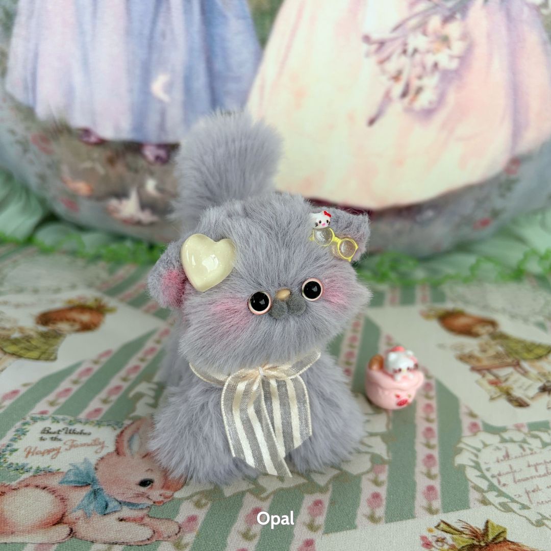 Grey Kitten Collection