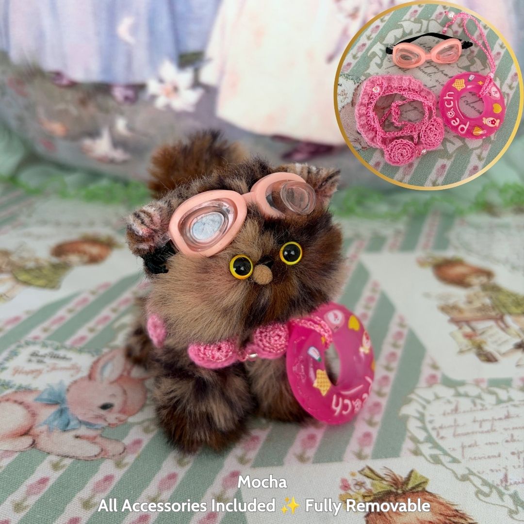 Purrfect Summer Collection