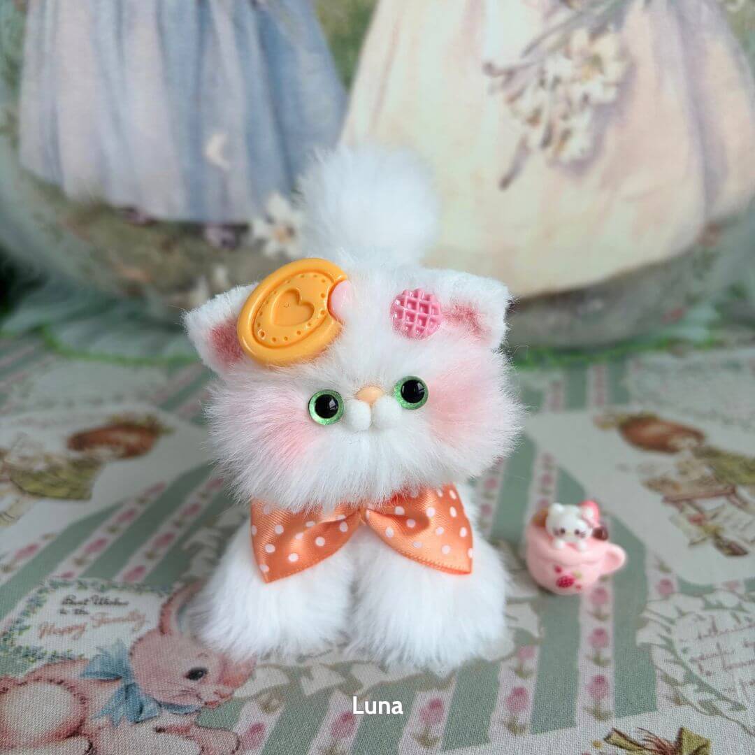 White Kitten Collection