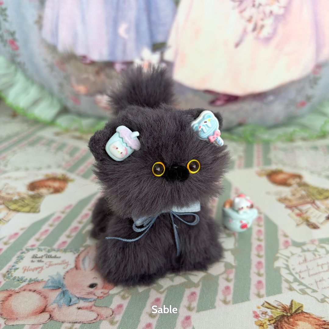 Grey Kitten Collection