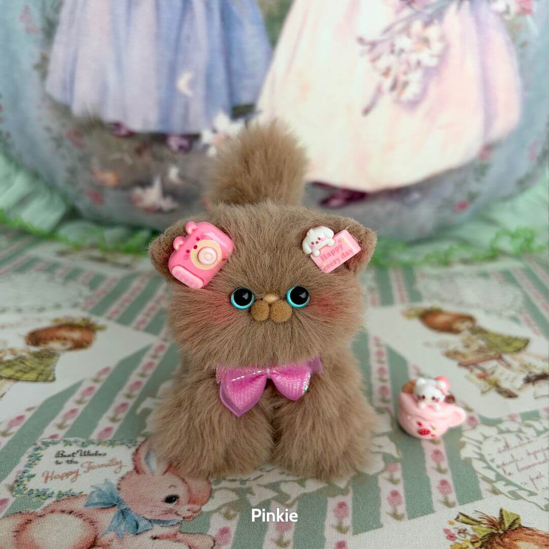 Brown Kitten Collection