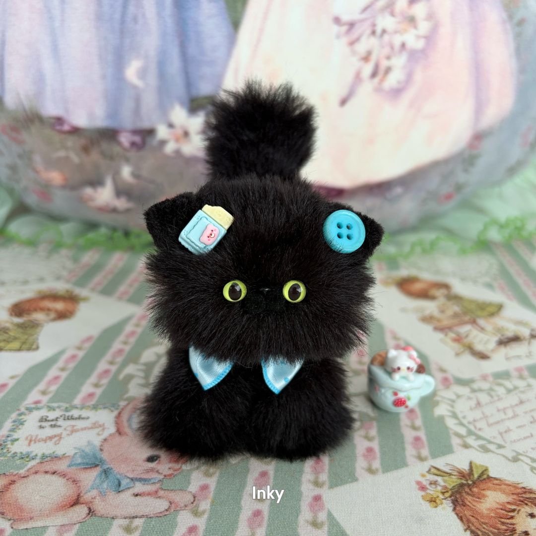 Black Kitten Collection