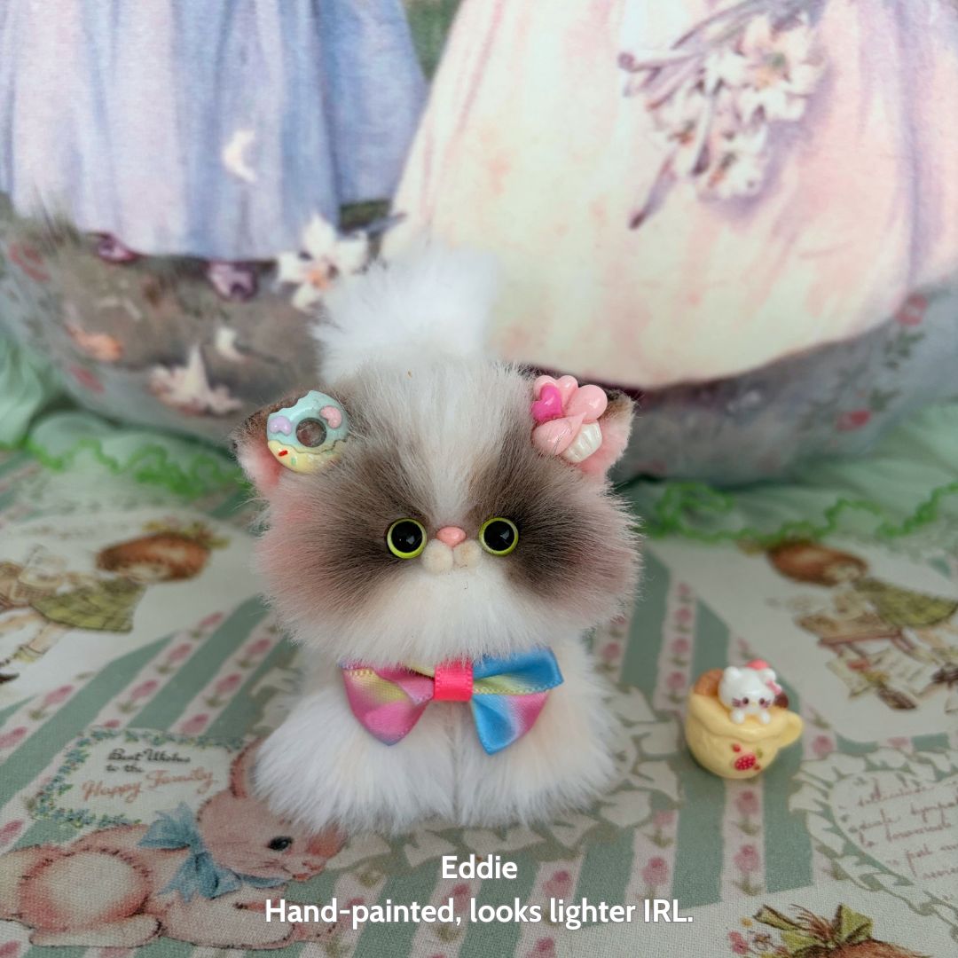 Adorable Kitten Collection