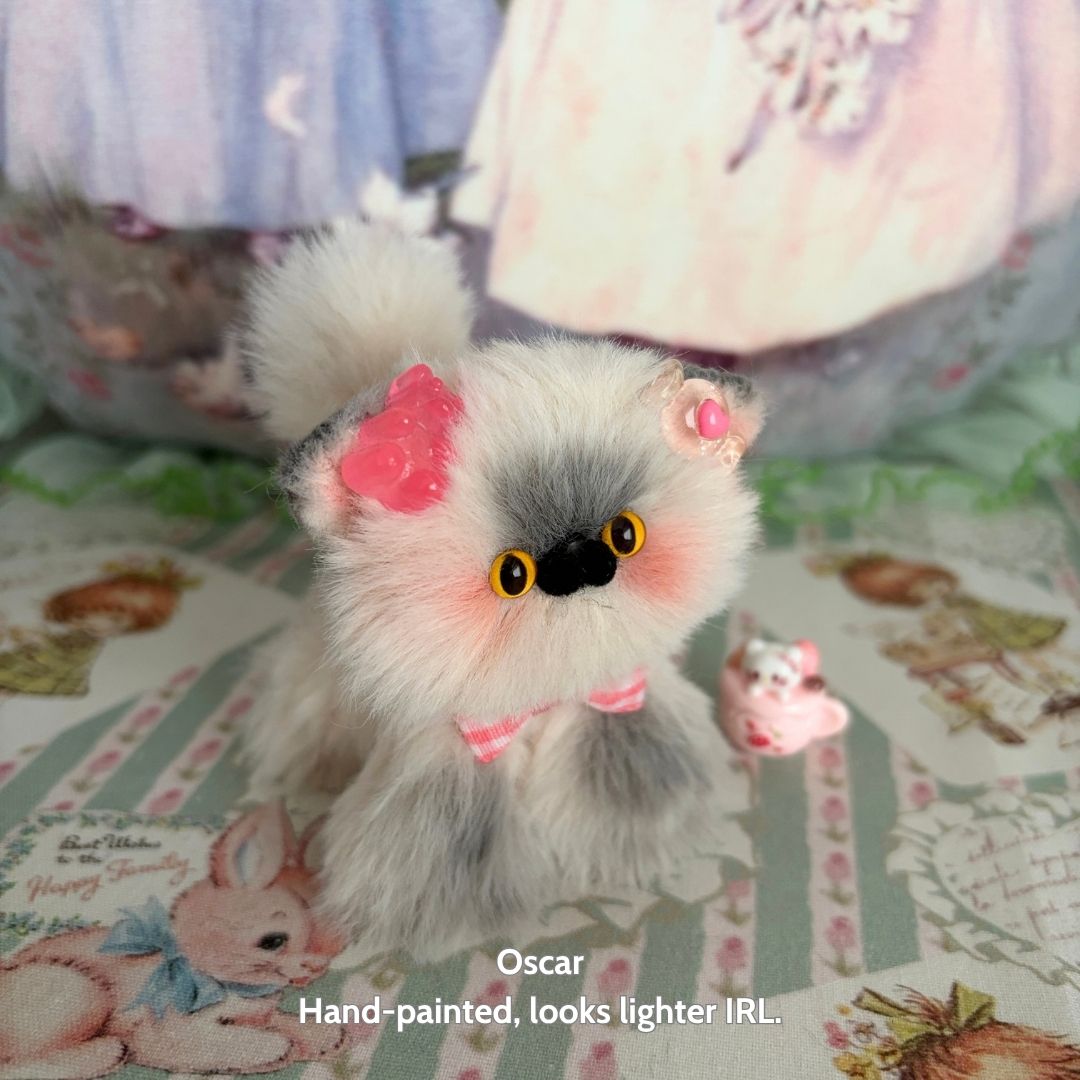 Adorable Kitten Collection