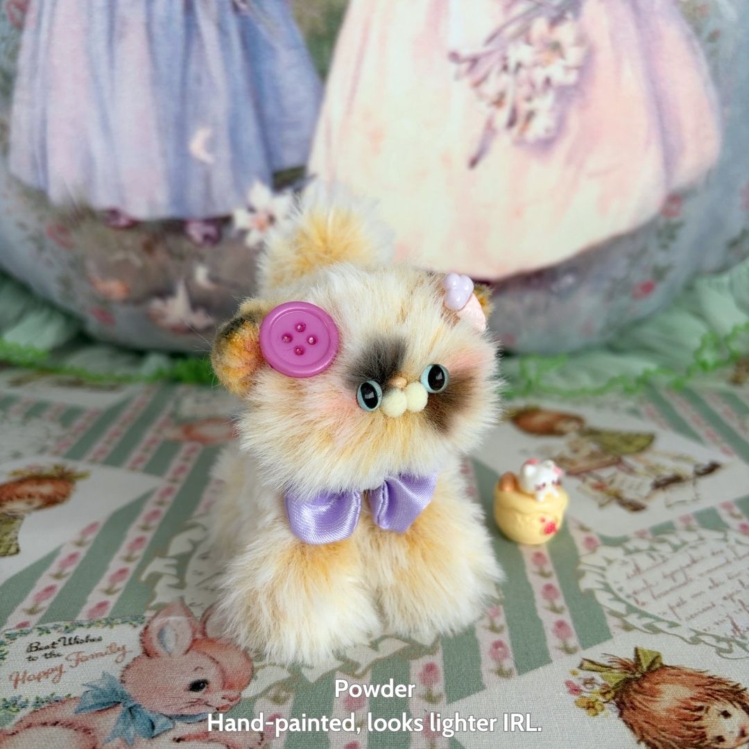 Adorable Kitten Collection