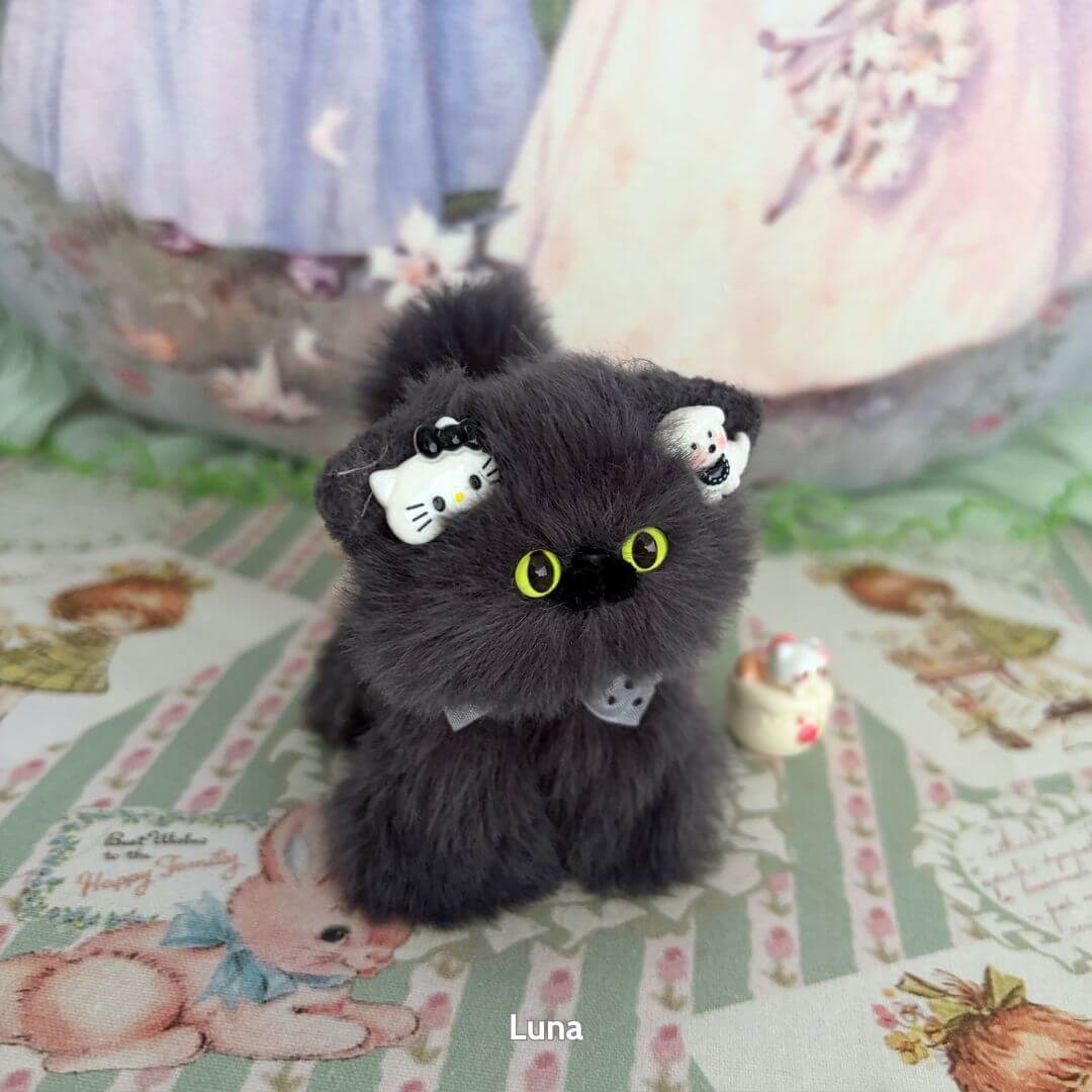 Grey Kitten Collection
