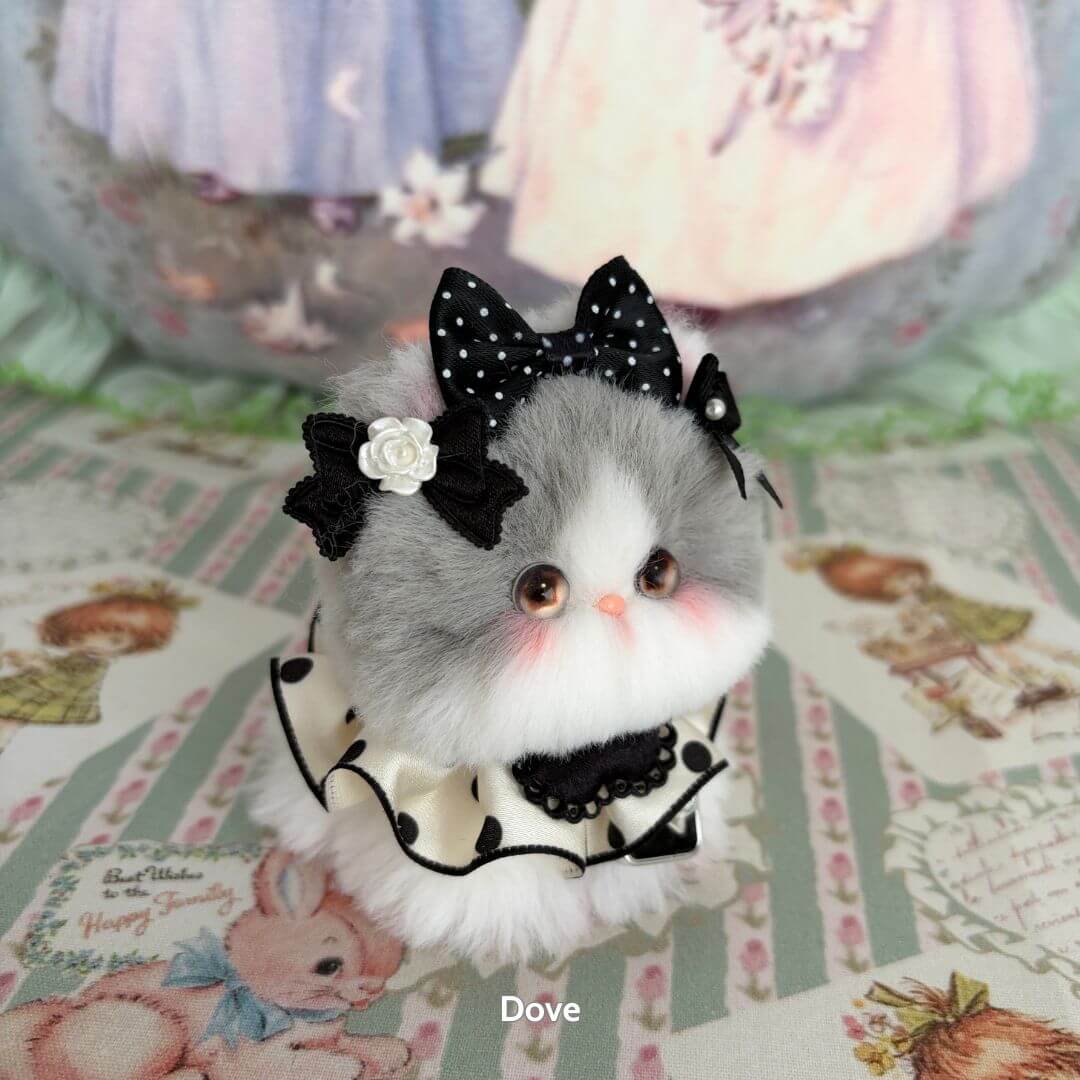 Fairy Paws Collection