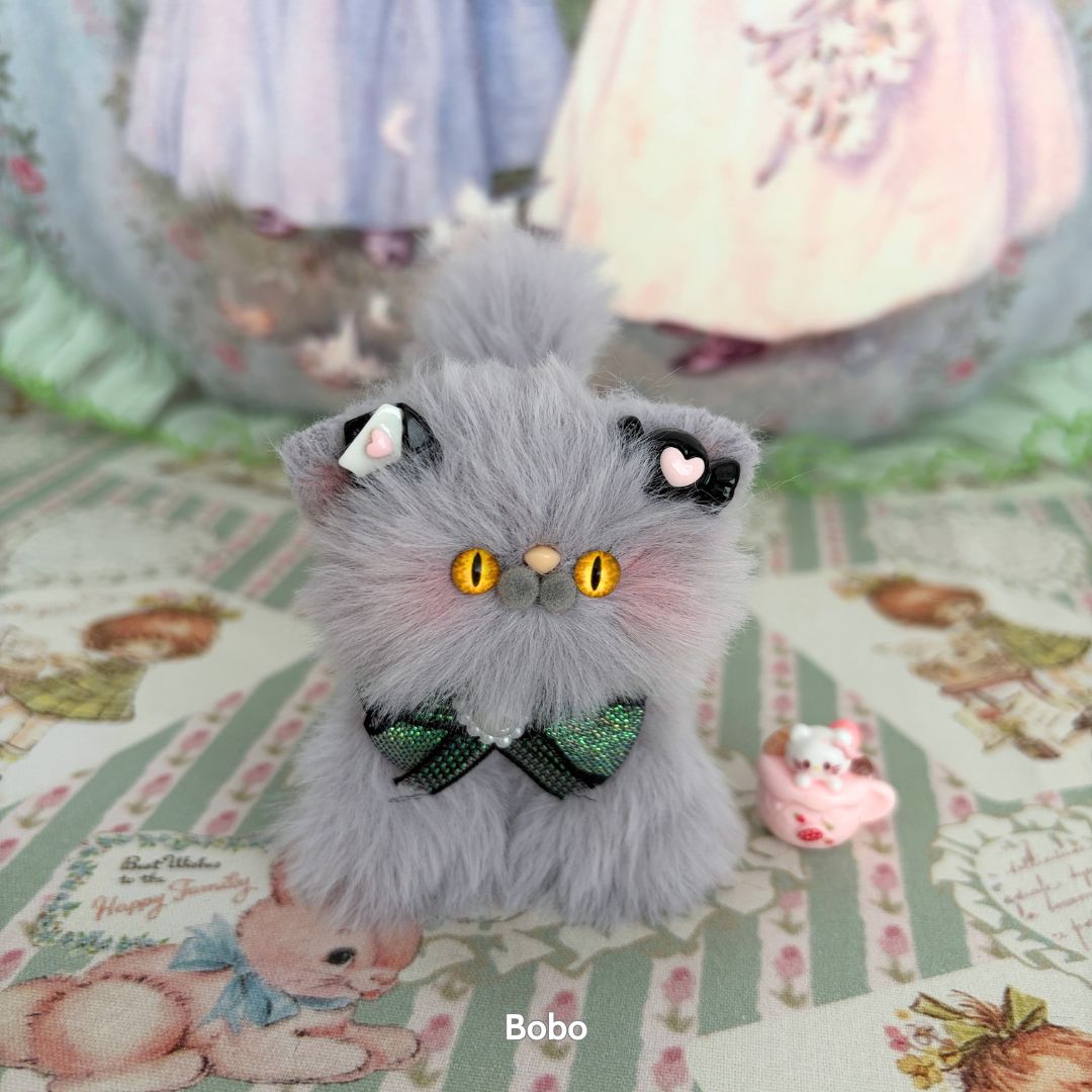 Grey Kitten Collection