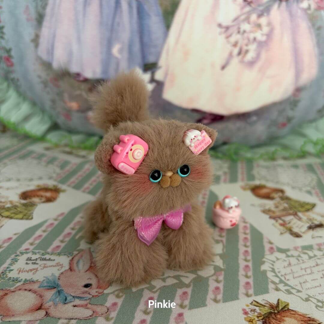Brown Kitten Collection
