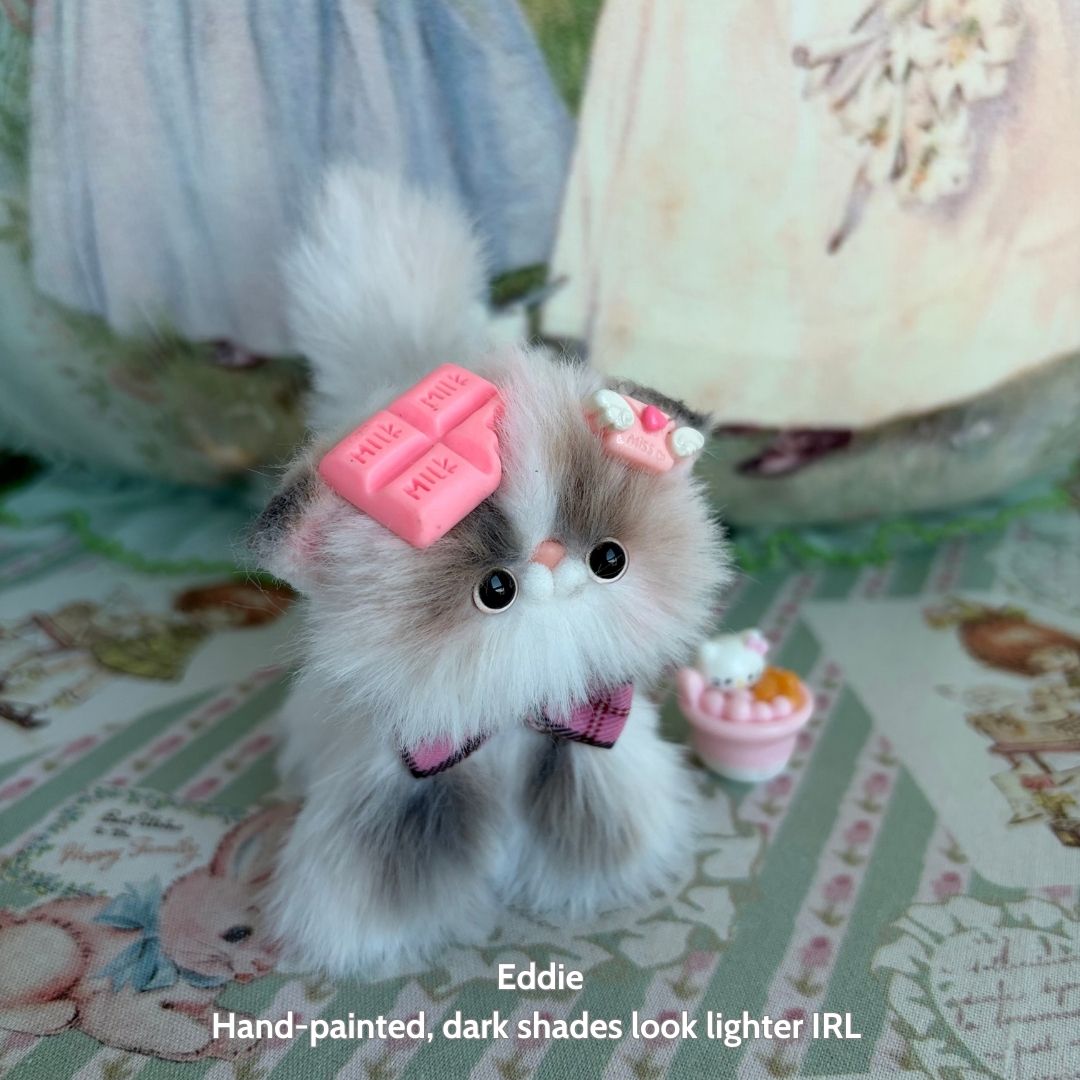 Adorable Kitten Collection