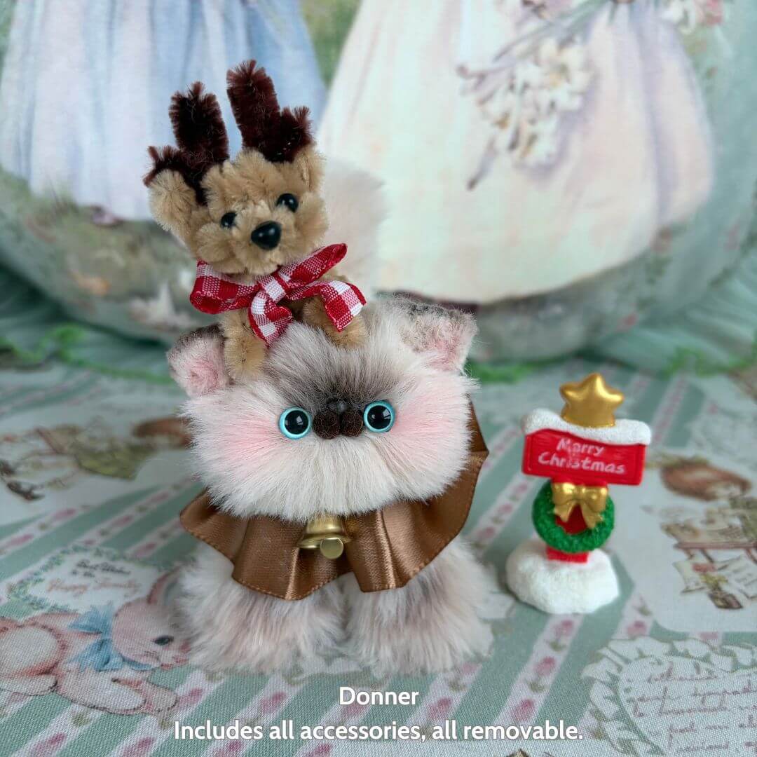 Christmas Kitten Collection