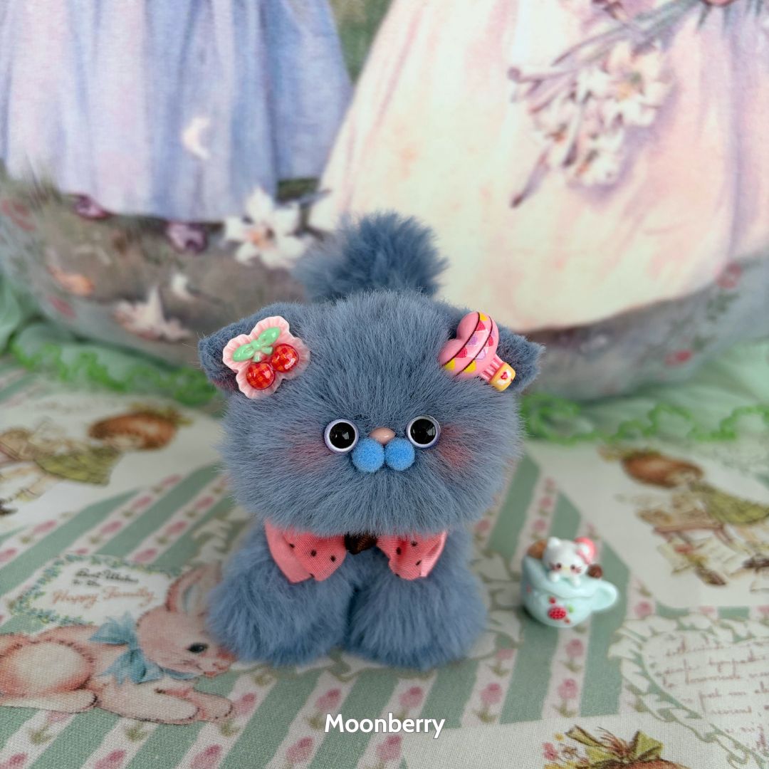 Fruity Kitten Collection