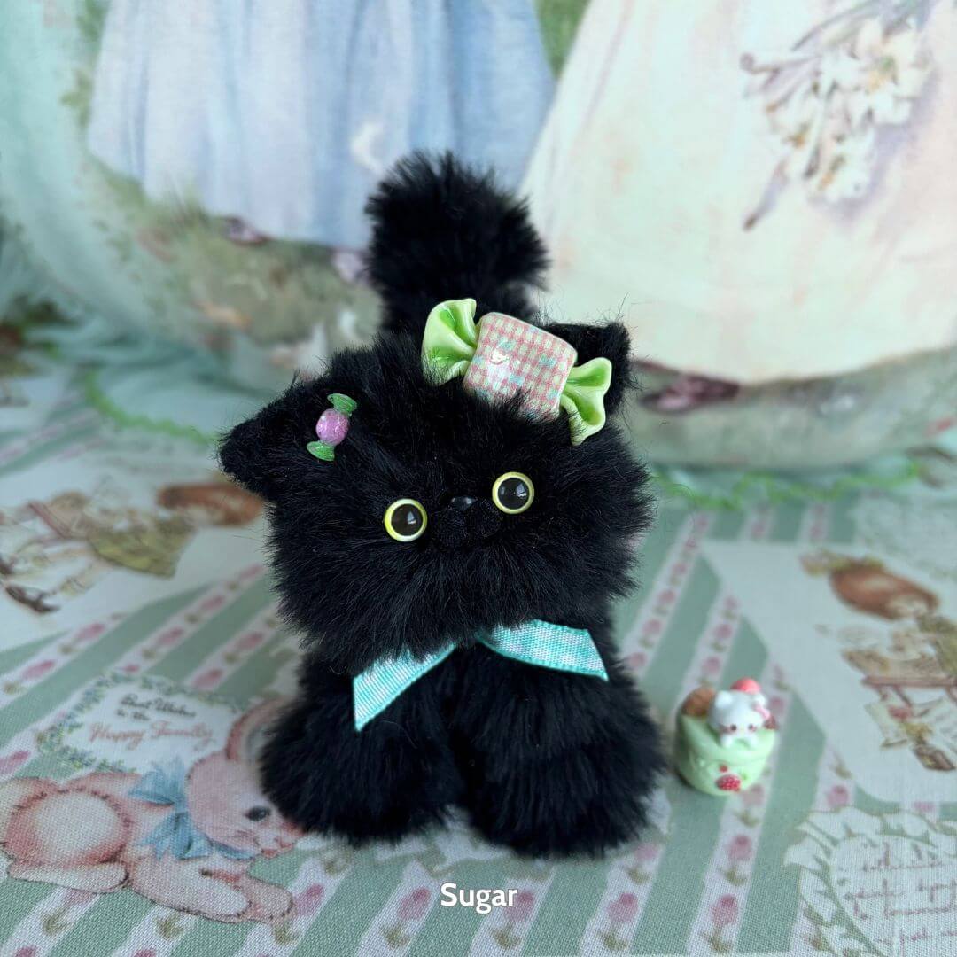 Black Kitten Collection