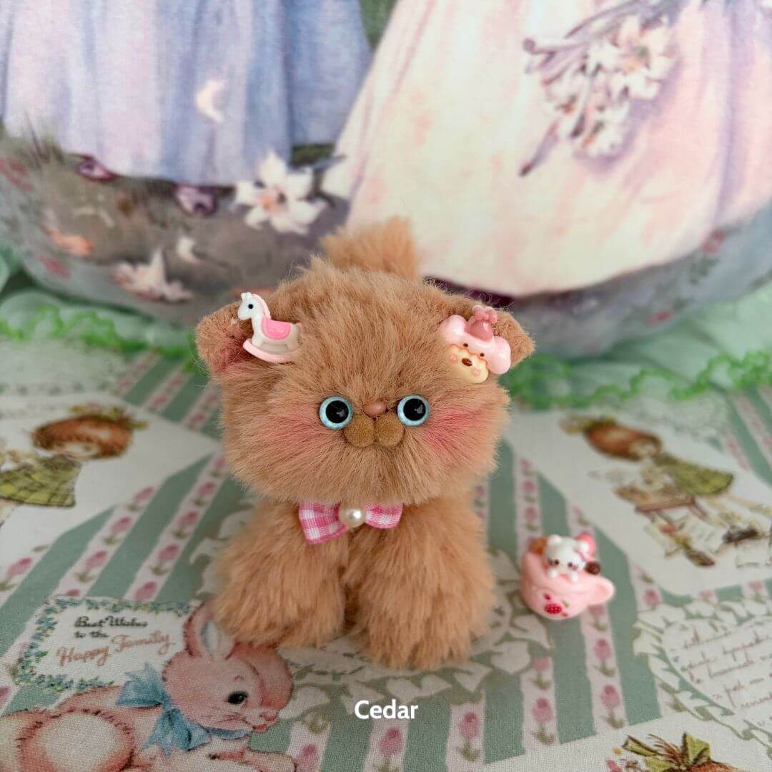 Brown Kitten Collection