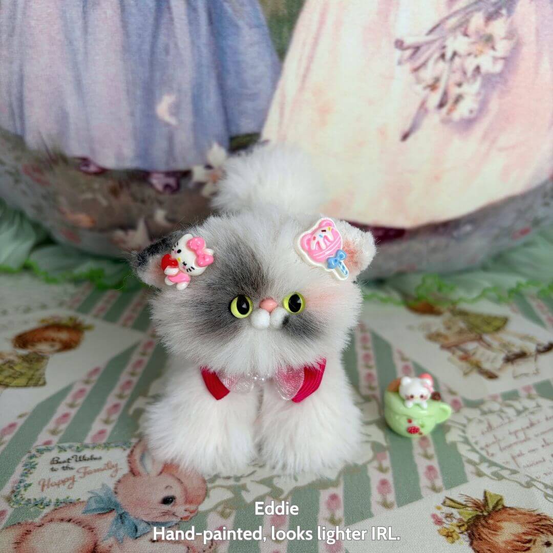 Adorable Kitten Collection