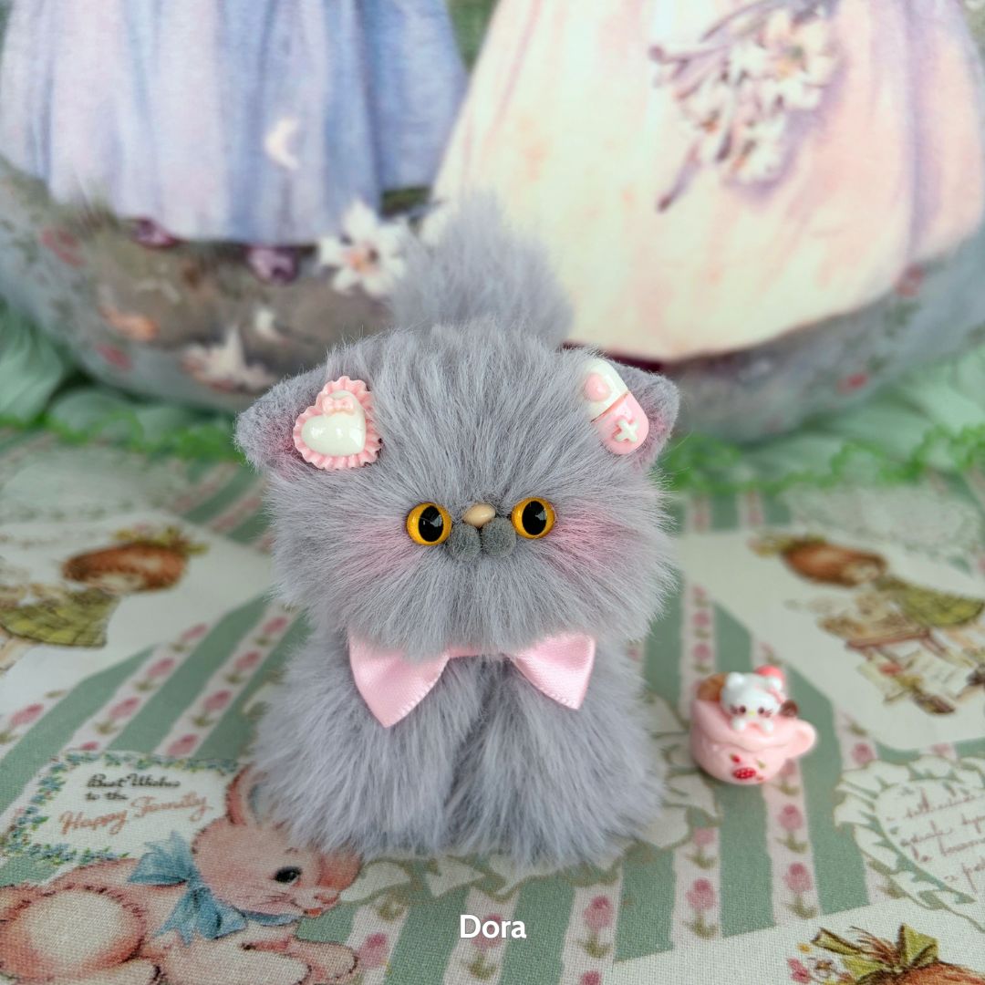 Grey Kitten Collection