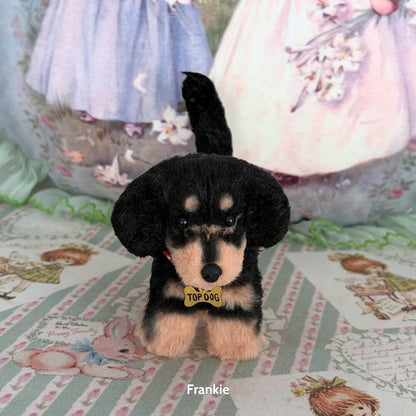 Dachshund Tales Collection