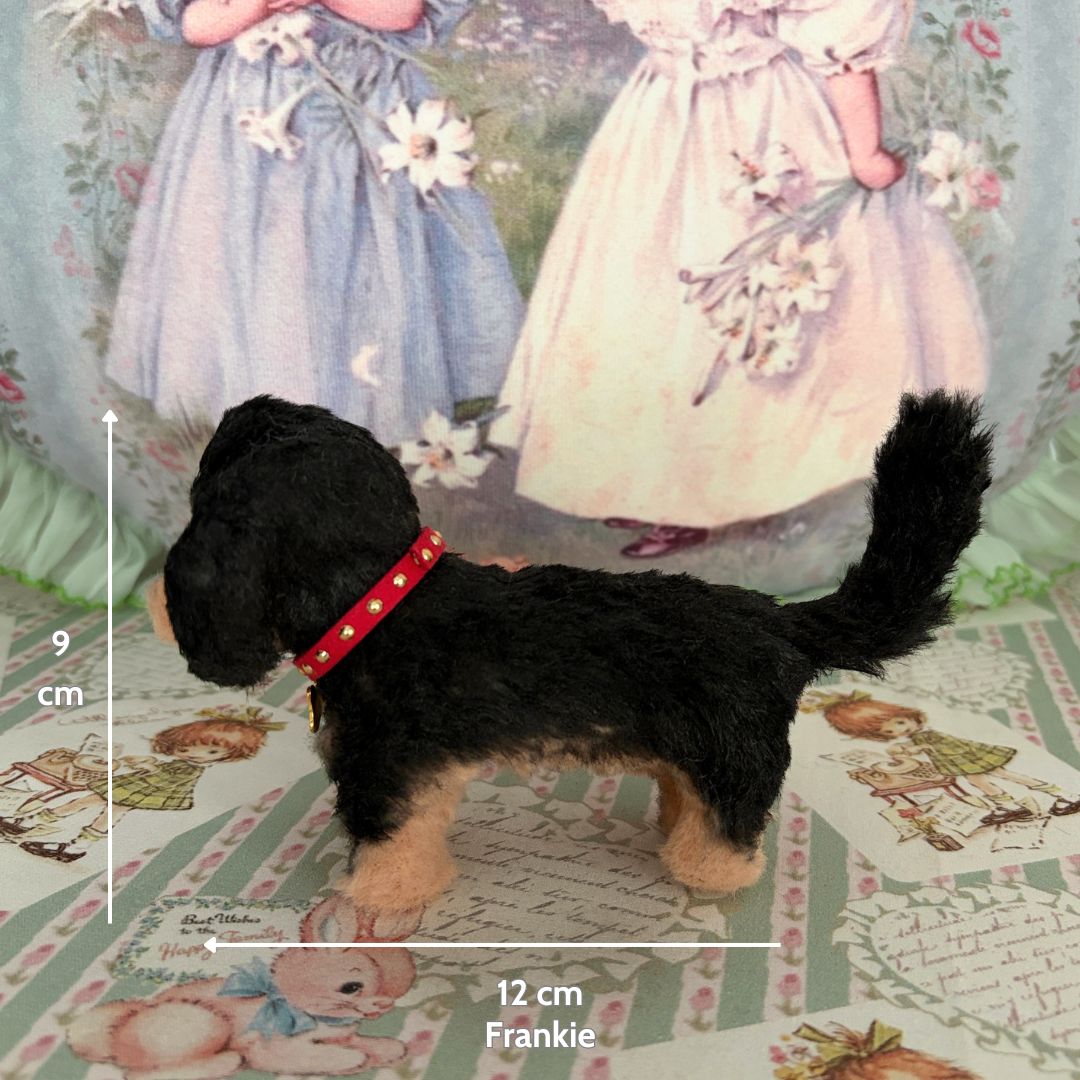 Dachshund Tales Collection