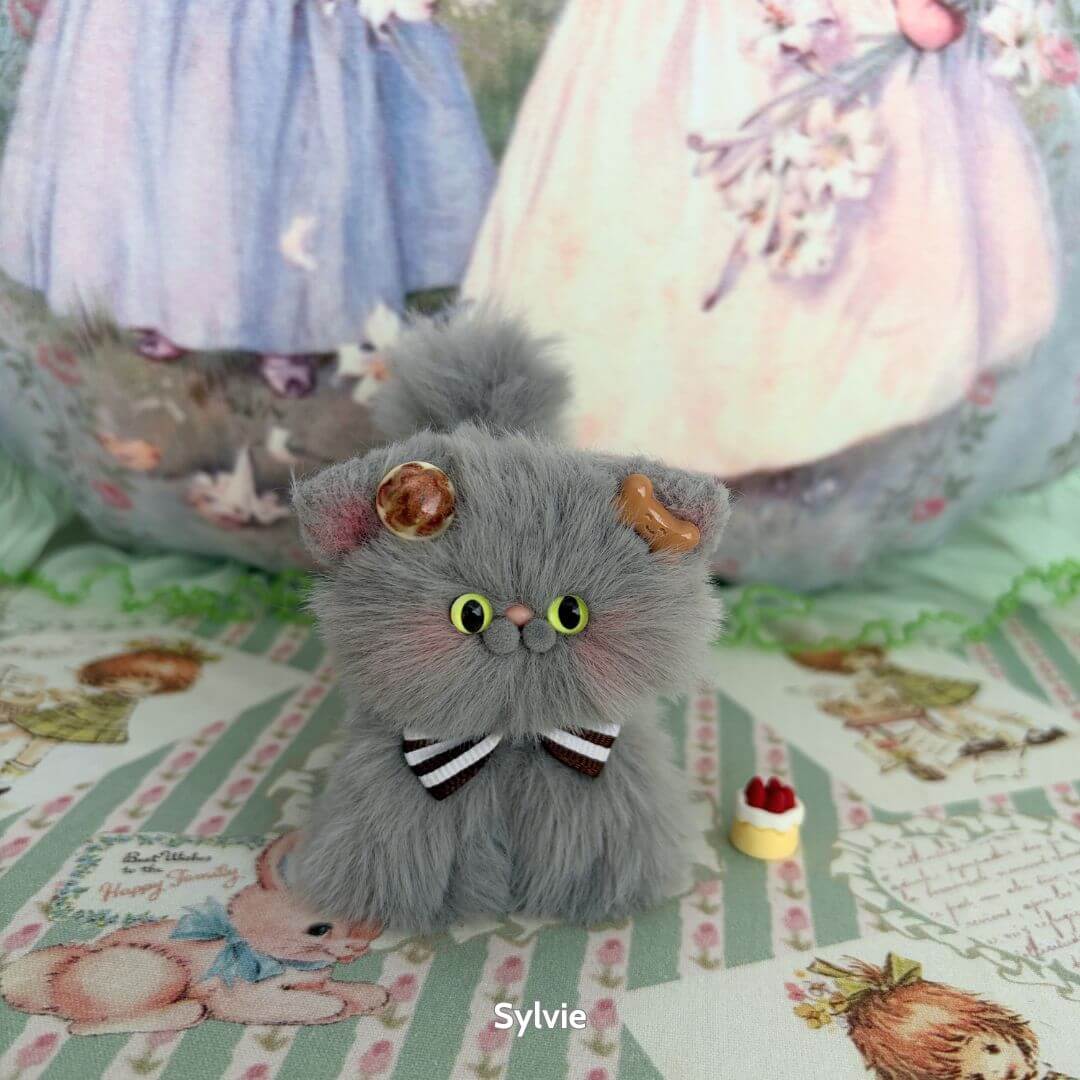 Grey Kitten Collection